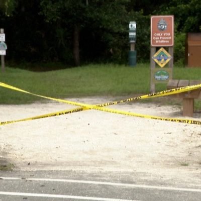 Woman dies after alligator bites off her arm in Florida